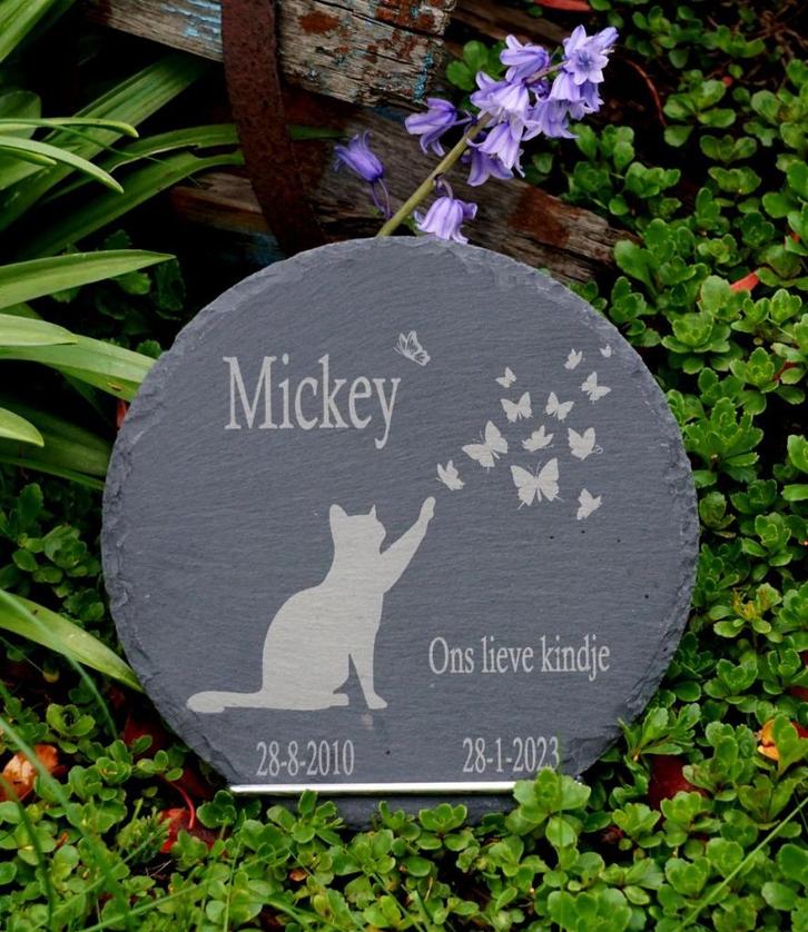 Gedenksteen Kat – Persoonlijk Aandenken met Gravure, Dieren en Toebehoren, Katten-accessoires, Nieuw, Ophalen of Verzenden