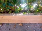 Douglas hout, Ophalen, Minder dan 25 mm, Nieuw, Plank