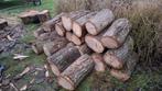 Eikenhout te koop - Kachelhout, Minder dan 3 m³, Ophalen, Eikenhout, Blokken