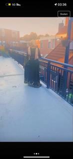 Groene Galajurk met Gouden Details, Kleding | Dames, Jurken, Maat 38/40 (M), Ophalen of Verzenden, Zo goed als nieuw, Onder de knie