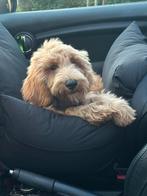 Zwarte Pip&Palms autostoel hond maat M, Ophalen, Zo goed als nieuw