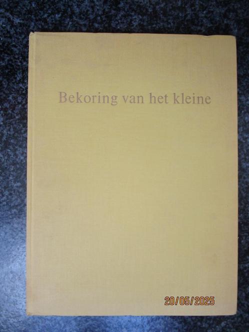 🫐kunstboek - Bekoring van het kleine - LJ Bol, Dordts Musea, Boeken, Kunst en Cultuur | Beeldend, Gelezen, Schilder- en Tekenkunst