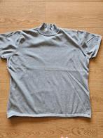 Kort grijs truitje maat 48, Kleding | Dames, Ophalen of Verzenden, Gedragen, Maat 46/48 (XL) of groter, Grijs