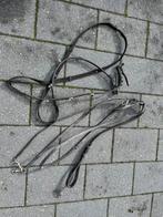 Thiedeman teugel compleet full, Dieren en Toebehoren, Ophalen of Verzenden, ., ., .