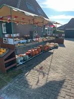 Pompoenen sierkalebassen, Tuin en Terras, Ophalen, Overige soorten, Volle zon