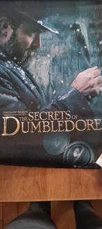 Fantastic Beasts: The Secrets of Dumbledore - Poster, Ophalen of Verzenden, Zo goed als nieuw