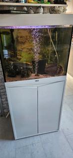 Aquatlantis aquarium, Ophalen of Verzenden, Gevuld zoetwateraquarium