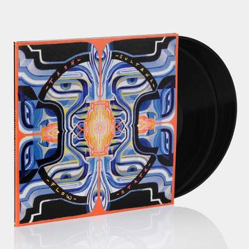 Tash Sultana - Flow State vinyl beschikbaar voor biedingen