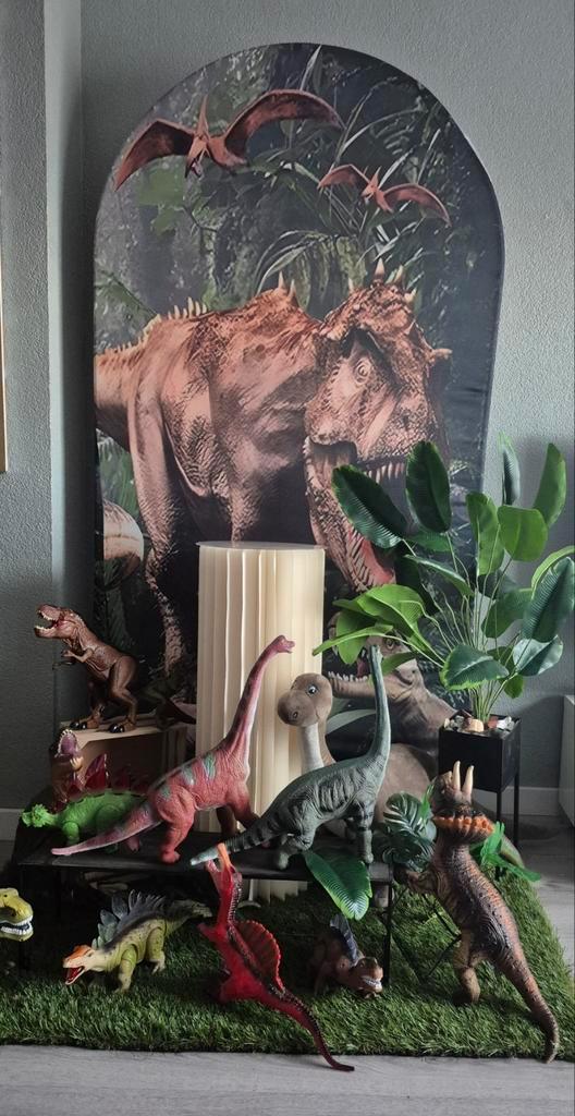 Dino verjaardag decoratie te huur, Hobby en Vrije tijd, Feestartikelen, Versiering, Geboorte of Huwelijk, Ophalen of Verzenden