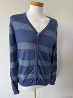 306 Dames vest Witteveen, Maat 38/40 (M), Blauw, Ophalen of Verzenden, Zo goed als nieuw