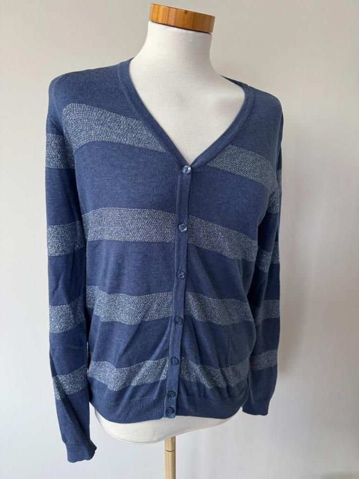 306 Dames vest Witteveen, Kleding | Dames, Truien en Vesten, Zo goed als nieuw, Maat 38/40 (M), Blauw, Ophalen of Verzenden