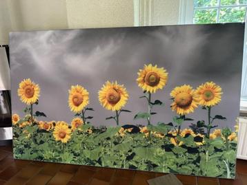 Akoestisch schilderij – Zonnebloemen – 245 x 150 cm  beschikbaar voor biedingen