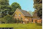 Ansichtkaart	Lintelo	Nieuw-Rensink Pension-Boerderij, Verzenden, 1960 tot 1980, Ongelopen, Gelderland