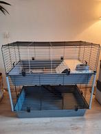 Dubbel binnen konijnenhok, Dieren en Toebehoren, Knaagdieren en Konijnen | Hokken en Kooien, Ophalen, 110 cm of meer, Cavia, 90 cm of meer