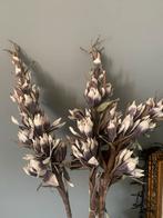 Yucca flower, natural foam, dark purple, Binnen, Zo goed als nieuw, Ophalen