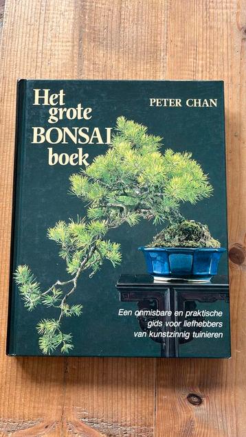 Peter Chan - Het grote bonsai boek beschikbaar voor biedingen