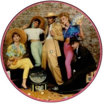 Picture disk(plaat)Kid Creole and the Coconuts   beschikbaar voor biedingen