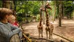 Dierenpark amersfoort, Tickets en Kaartjes, Twee personen, Ticket of Toegangskaart