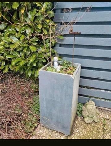 2 grote bloembakken inclusief inhoud 80 cm / 50 cm planten

 beschikbaar voor biedingen
