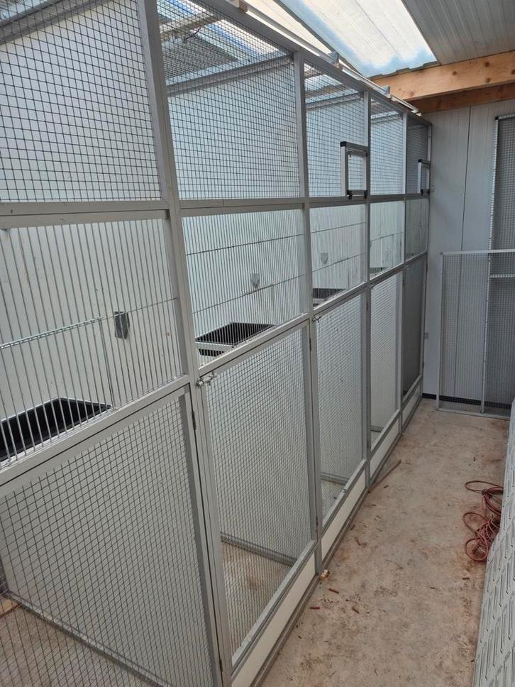 Volière 1 deel.  Aluminium en trespa, Dieren en Toebehoren, Vogels | Hokken en Kooien, Zo goed als nieuw, Volière, Aluminium, Ophalen
