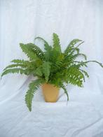 Mooie varen, kunstplant, kunstkamerplant, 40 cm., Ophalen of Verzenden, Zo goed als nieuw