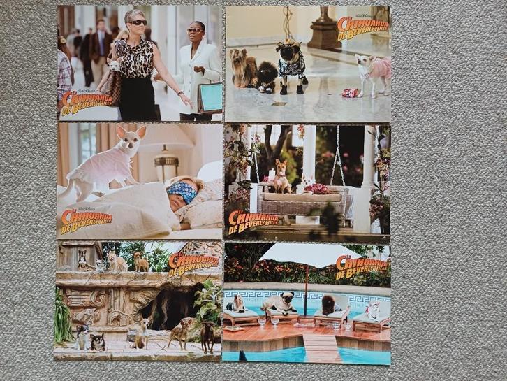 BEVERLY   HILLS   CHIHUAHUA     lobbycard set., Verzamelen, Posters, Nieuw, Film en Tv, A4 of kleiner, Verzenden