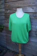 Tuniek groen Peter Hahn mt 48 Vaste prijs, Kleding | Dames, Blouses en Tunieken, Maat 46/48 (XL) of groter, Ophalen of Verzenden