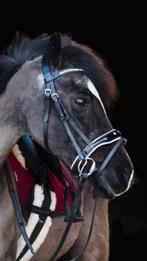 Prachtig Zwart Pony Hoofdstel Bling Lak Wit Onderlegd, Ophalen of Verzenden, Zo goed als nieuw
