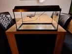 aquarium met kap en verlichting 60 x 30 cm, Ophalen, Leeg aquarium