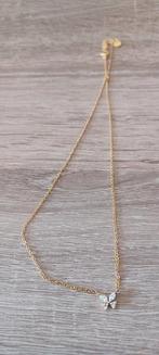 Goude ketting met klein vlindertje strass, Ophalen of Verzenden, Zo goed als nieuw, Goud, Goud