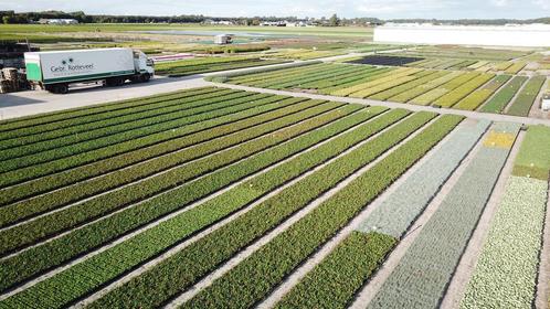 Algemeen medewerk(st)er (24-40 uur), Vacatures, Vacatures | Landbouw, Natuur en Milieu, Tijdelijk contract, Variabele uren