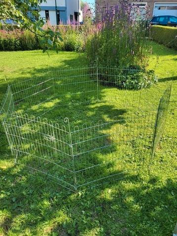 Puppy ren. Honden ren beschikbaar voor biedingen