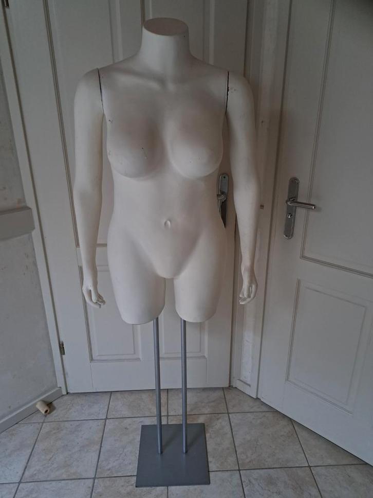 Volopteuze paspop, Kleding | Dames, Overige Dameskleding, Ophalen