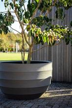 plantenbak Luca Lifestyle Bordo New Egg Pot Low, Tuin, Kunststof, 100 cm of meer, Rond