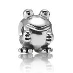 Pandora bedel kikker, Sieraden, Tassen en Uiterlijk, Bedels, Pandora, Ophalen of Verzenden, Zo goed als nieuw, 1 bedel