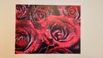 IXXI schilderij met rozen, Antiek en Kunst, Kunst | Schilderijen | Abstract, Ophalen of Verzenden