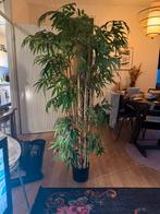 Kunstplant - varen 1,60cm, Ophalen, Zo goed als nieuw