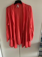 Nog mooi oranje vest. Maat 48, Ophalen of Verzenden, Zo goed als nieuw, Oranje, Trui of Vest