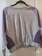 Jogging trui maat m gaat tot xL, Kleding | Dames, Grote Maten, Ophalen of Verzenden, Trui of Vest