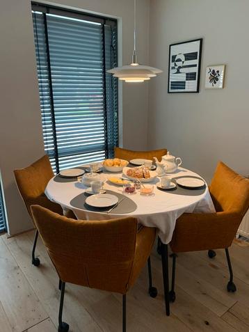 Label van den Berg eetkamerstoelen, 4x beschikbaar voor biedingen