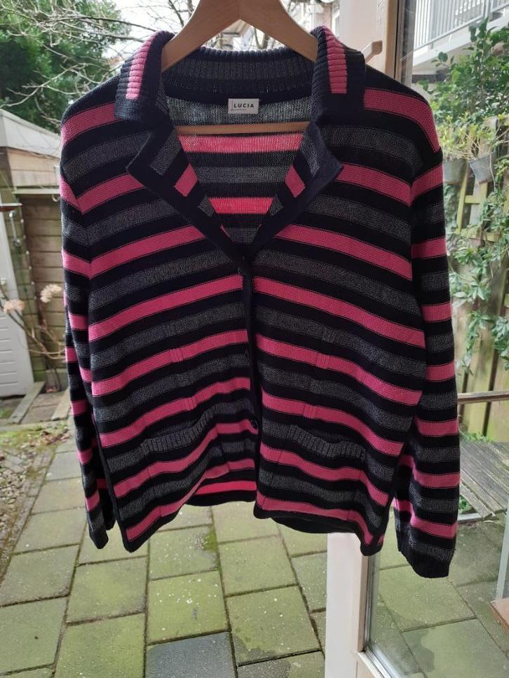 Warm vest - wolmengsel, merk Lucia, maat 42, Kleding | Dames, Truien en Vesten, Zo goed als nieuw, Maat 42/44 (L), Roze, Ophalen of Verzenden