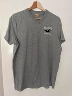 Hollister Grijs T-shirt Maat L, Ophalen of Verzenden, Gedragen, Maat 52/54 (L), Grijs
