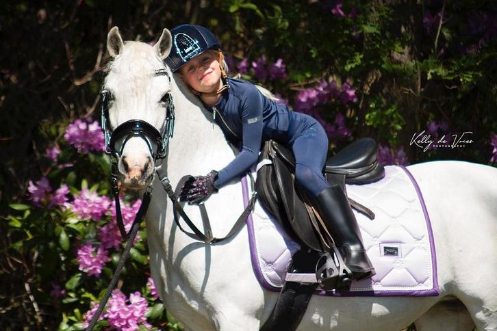 Verzorgpony, Dieren en Toebehoren, Paarden en Pony's | Verzorgingsproducten, Nieuw, Ophalen