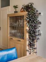 Vitrinekast Drimmelen Melamine met eikenlook, Ophalen, Gebruikt, 50 tot 100 cm, 150 tot 200 cm