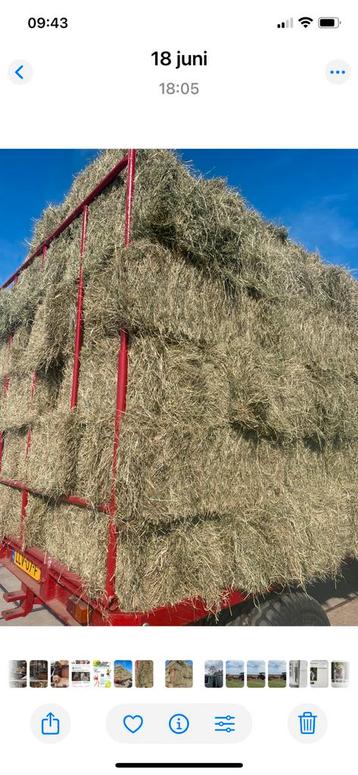 Biologische hooi balen beschikbaar voor biedingen