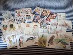 Kaarten te koop 250 stuks., Drie personen of meer, Ticket of Toegangskaart