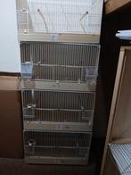 Te koop broedkooien., Dieren en Toebehoren, Vogels | Hokken en Kooien, Ophalen of Verzenden, Zo goed als nieuw, Hout, Broedkooi of Kweekkooi