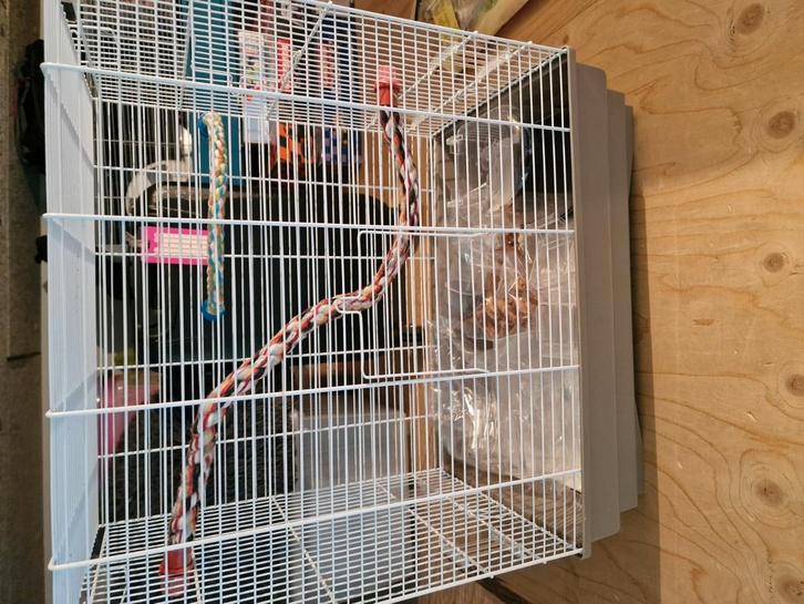 Complete vogelkooi, Dieren en Toebehoren, Vogels | Hokken en Kooien, Zo goed als nieuw, Vogelkooi, Metaal, Ophalen