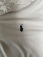 Ralph Lauren Polo Performance - Maat M - Goede Staat, Kleding | Heren, Polo's, Ophalen of Verzenden, Gedragen, Maat 48/50 (M)