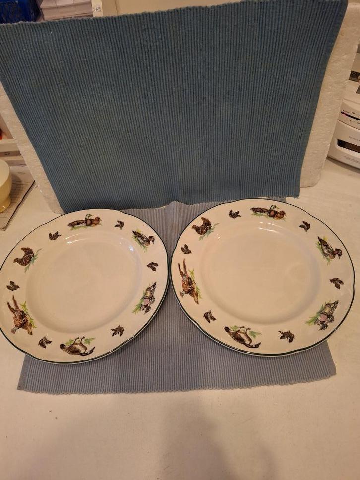 Brookshire - Johnson bros - 2 mooie dinerborden met eendjes, Antiek en Kunst, Antiek | Servies los, Ophalen of Verzenden